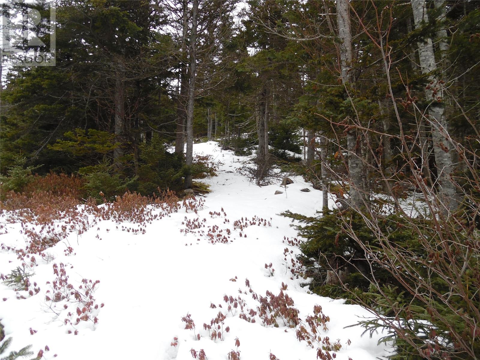 0 Random Island Road, Weybridge, Newfoundland & Labrador  A5A 3A1 - Photo 3 - 1267777