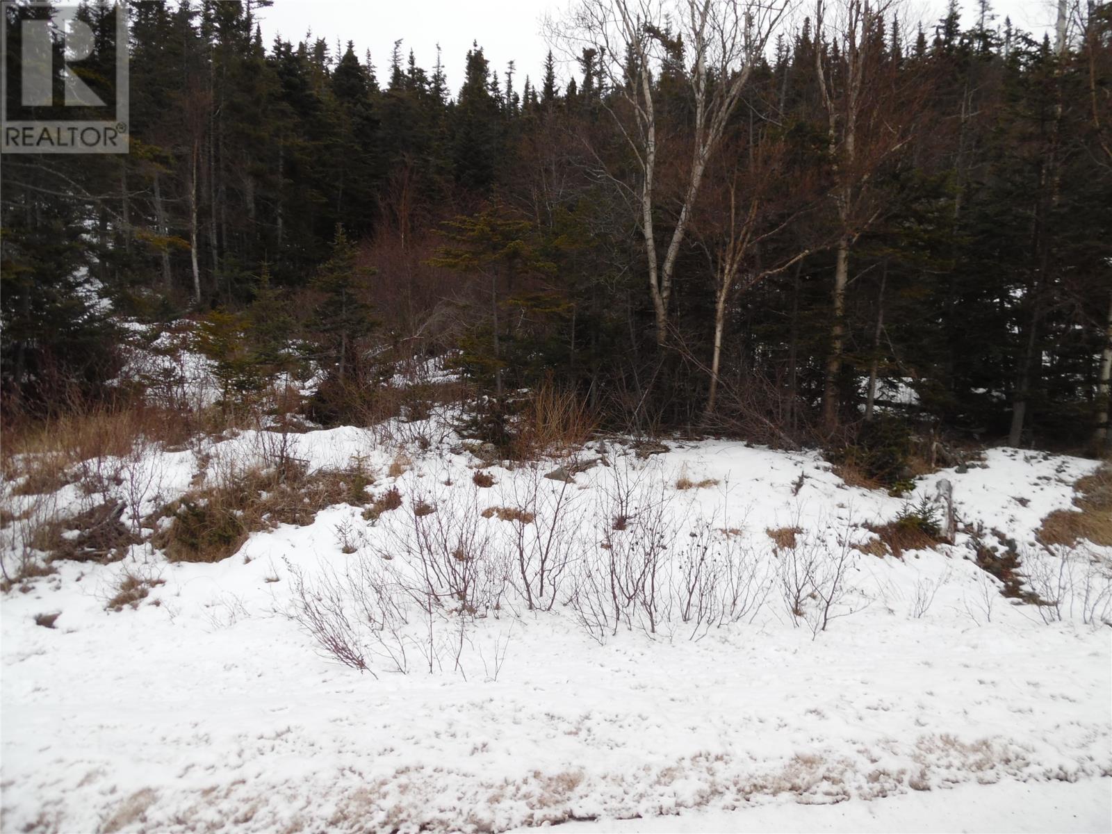0 Random Island Road, Weybridge, Newfoundland & Labrador  A5A 3A1 - Photo 4 - 1267777
