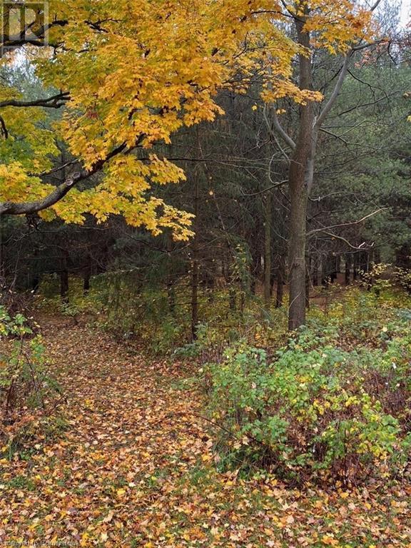 395 Holmes Street, Holmesville, Ontario  N0M 1L0 - Photo 5 - 40537350