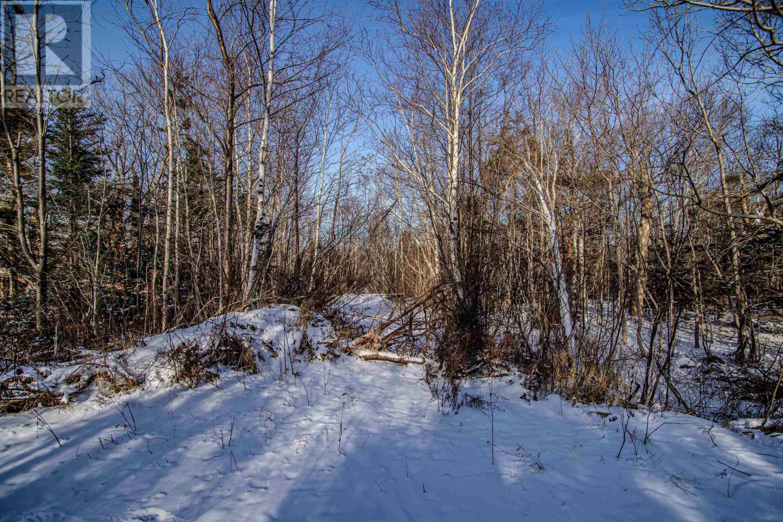 Lots Broad Cove Road, Bay View, Nova Scotia  B0V 1A0 - Photo 19 - 202402568