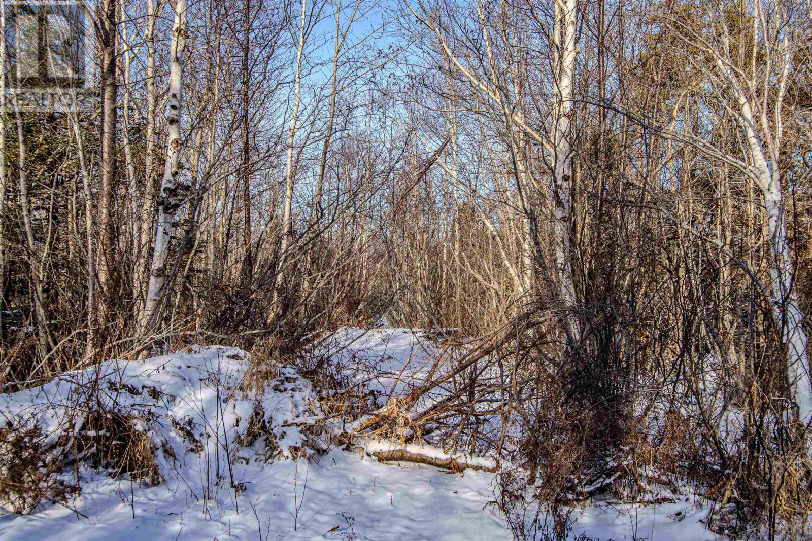 Lots Broad Cove Road, Bay View, Nova Scotia  B0V 1A0 - Photo 20 - 202402568