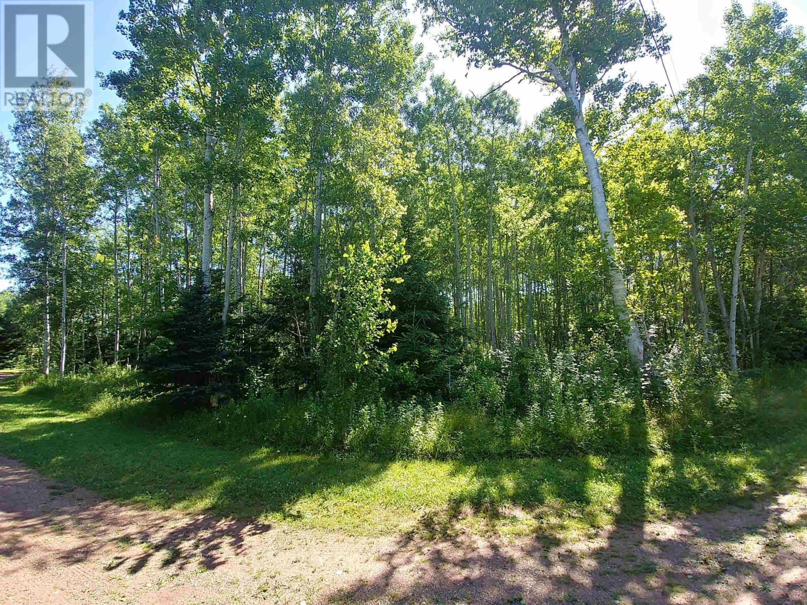 Acreage Birch Lane, Georgetown Royalty, Prince Edward Island  C0A 1L0 - Photo 9 - 202402578