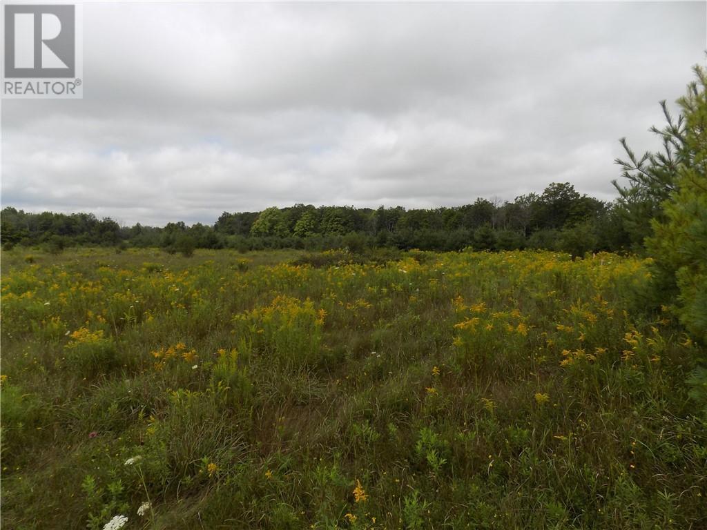 Hwy 43 Highway W, Perth, Ontario  K7H 3C7 - Photo 6 - 1377142