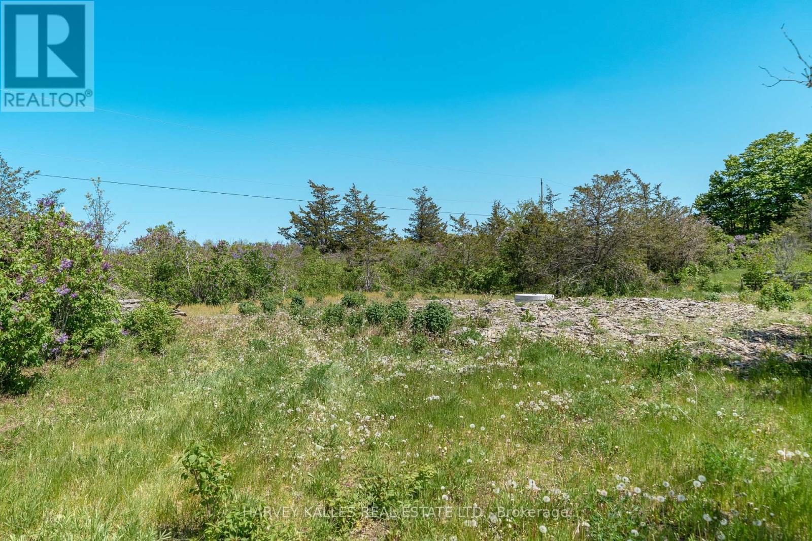 1130 Clarke Road S, Prince Edward County, Ontario  K0K 2T0 - Photo 14 - X8062986