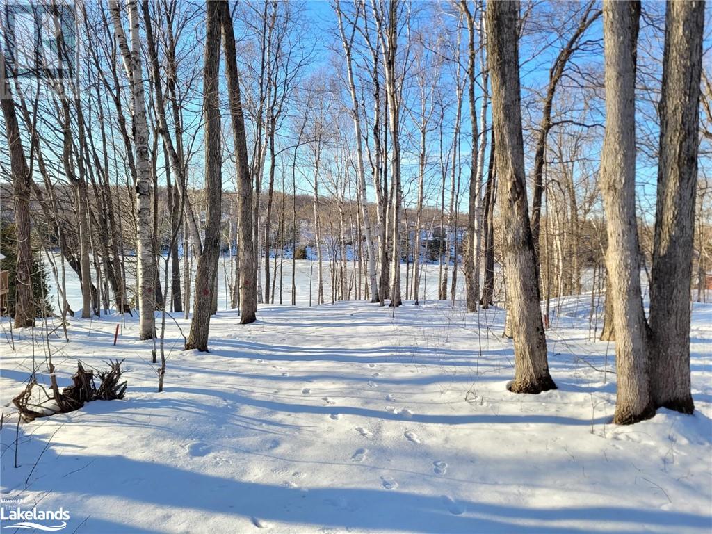 20 Squirrel Avenue, Mcdougall, Ontario  P2A 2W7 - Photo 20 - 40540102