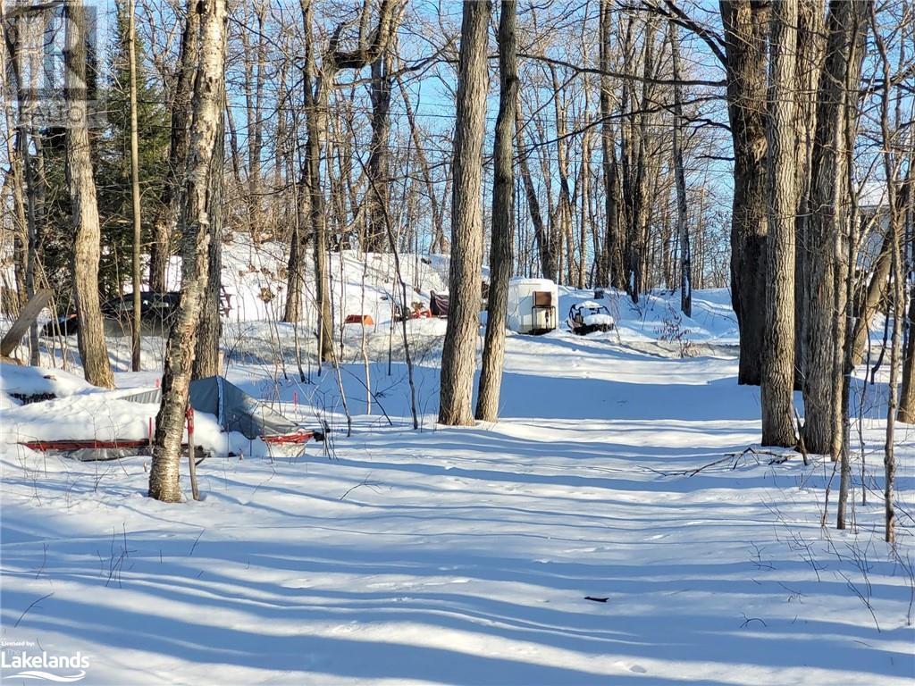 20 Squirrel Avenue, Mcdougall, Ontario  P2A 2W7 - Photo 18 - 40540102