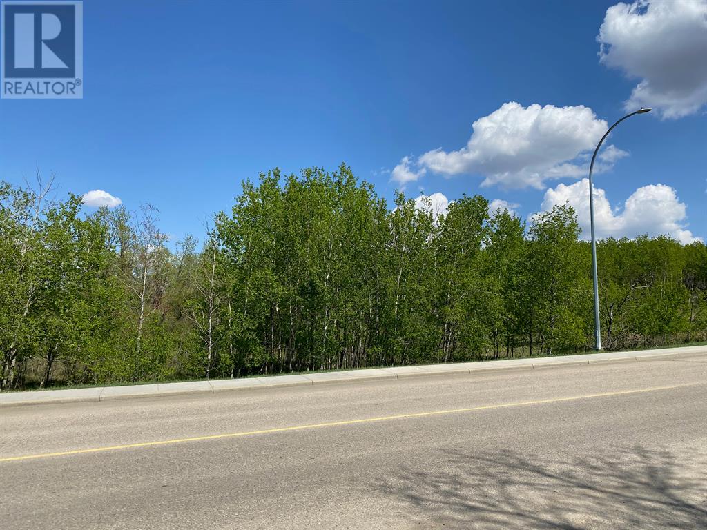 5005 46 Street, Ponoka, Alberta  T4J 1C2 - Photo 6 - A2026785