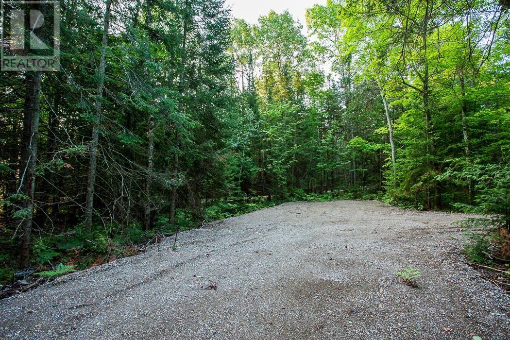 Lot 27 Richmond Bay Rd, Hilton Township, St. Joseph Island, Ontario  P0R 1G0 - Photo 14 - SM133145