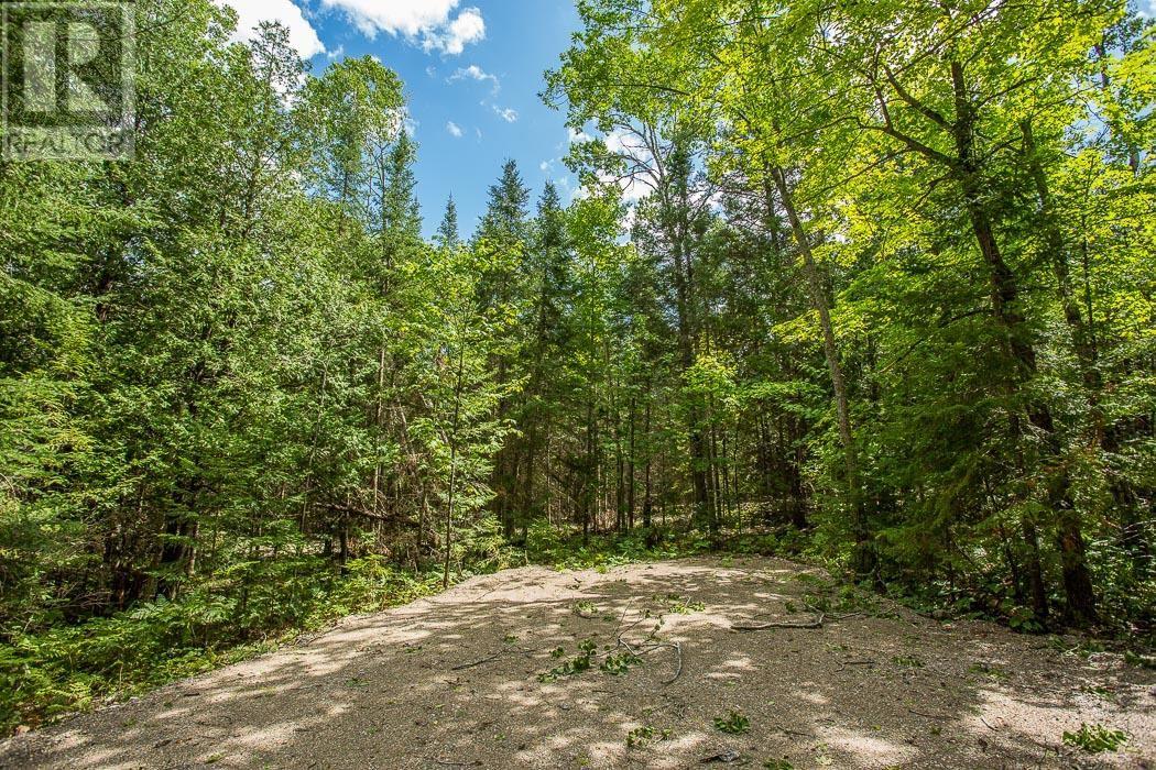 Lot 27 Richmond Bay Rd, Hilton Township, St. Joseph Island, Ontario  P0R 1G0 - Photo 8 - SM133145