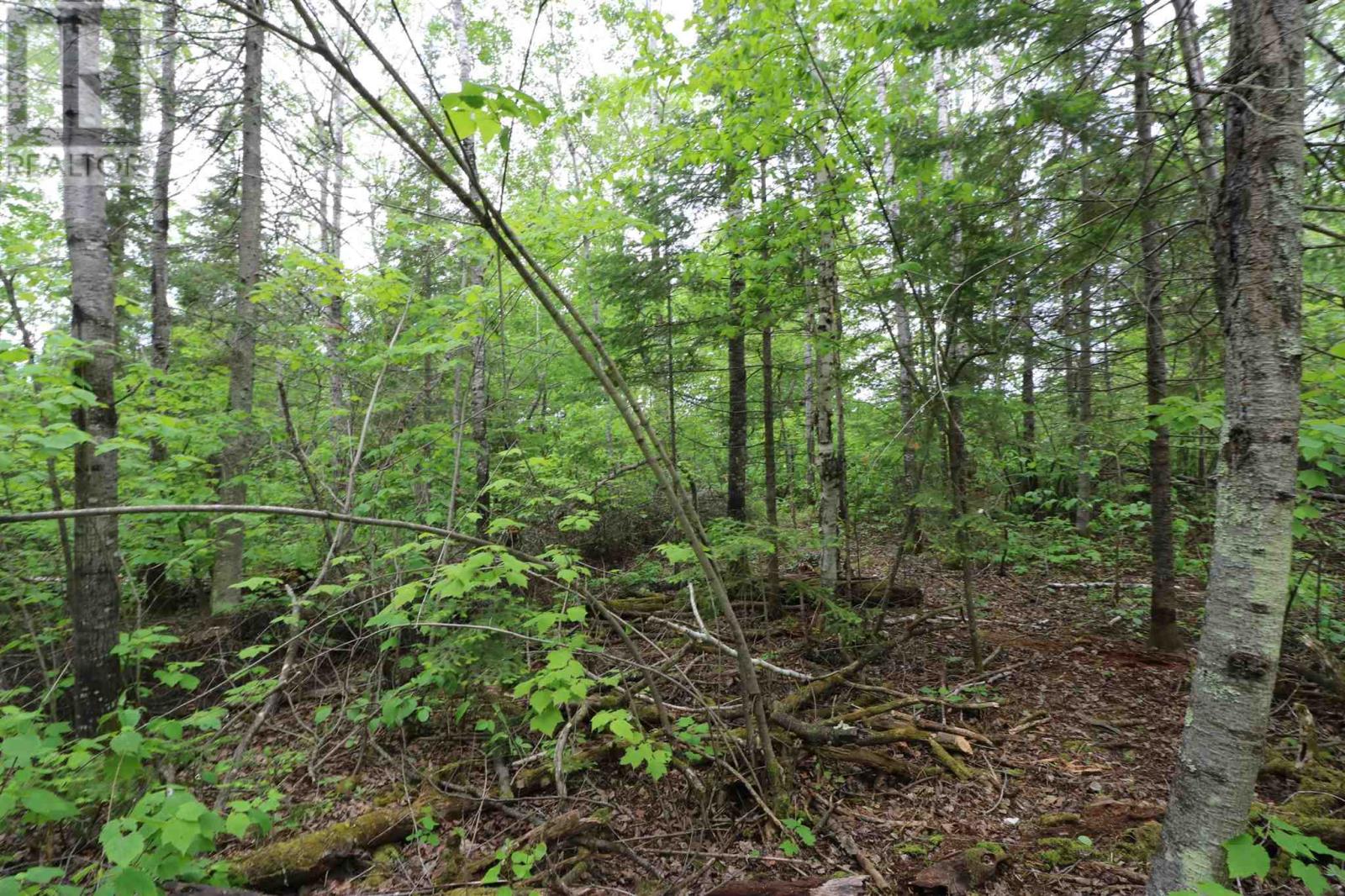 1831 Hwy 71, Sabaskong Bay, Lake Of The Woods, Nestor Falls, Ontario  P0X 1K0 - Photo 28 - TB221892