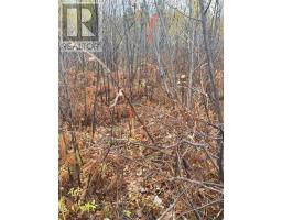 PCL 7324 & 7325 South 1/2 Lot 1 Con 1, Part 1 &2, marter township, Ontario