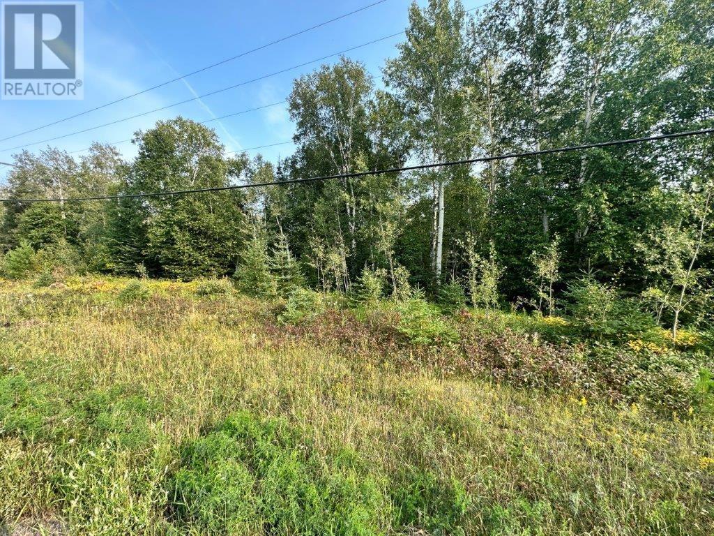 Pcl 24743 Lakeshore Dr, Shuniah, Ontario  P7A 0Y5 - Photo 27 - TB232651