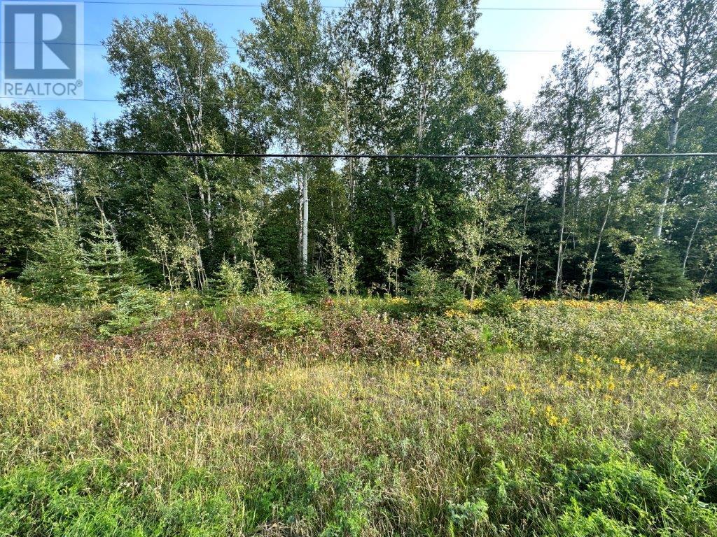 Pcl 24743 Lakeshore Dr, Shuniah, Ontario  P7A 0Y5 - Photo 28 - TB232651