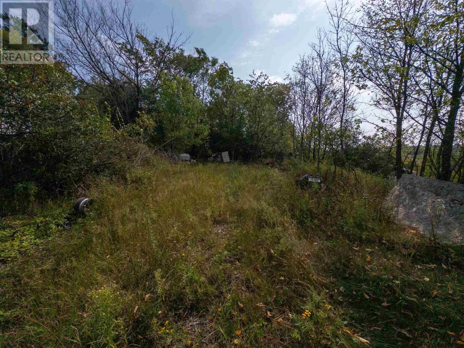 123 Mikado Avenue, Kenora, Ontario  P9N 3A8 - Photo 2 - TB232655