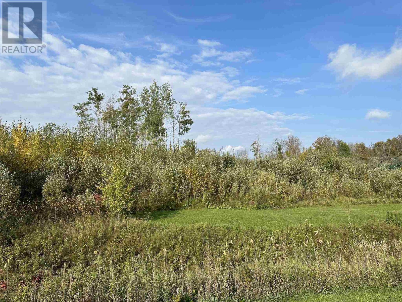 Parts 4&6 Lots 25&26, 48r4578, Fort Frances, Ontario  P9A 3M2 - Photo 4 - TB232947