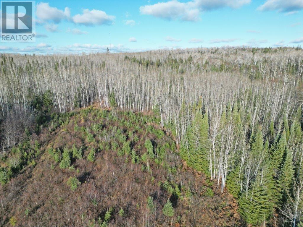 Part 2 Silver Springs Road, Gorham, Ontario  P7G 0R6 - Photo 20 - TB233338