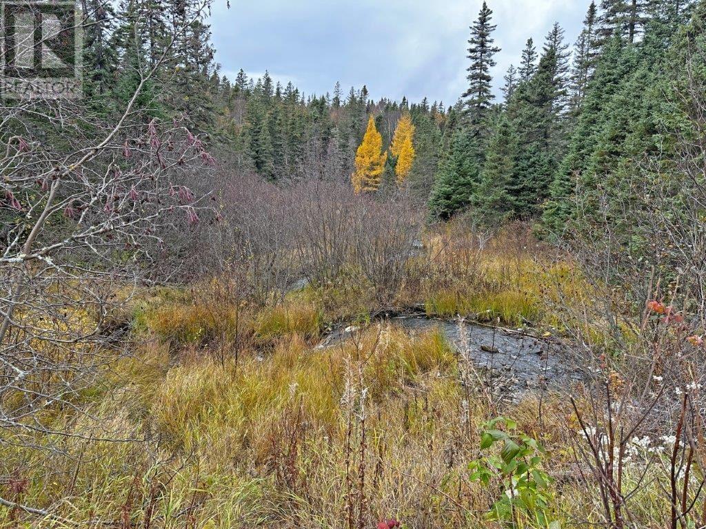 42d09k022 Shack Lake Road, Marathon, Ontario  P0T 2E0 - Photo 19 - TB233591