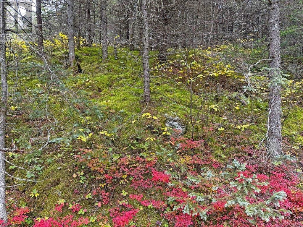 42d09k002 Shack Lake Road, Marathon, Ontario  P0T 2E0 - Photo 20 - TB233593