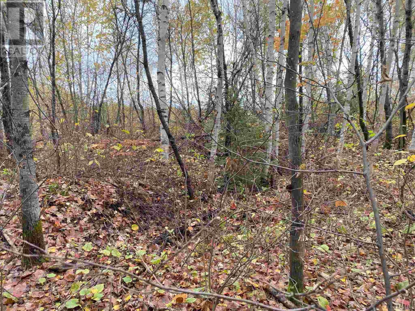 Lot 1 Con 5 Pcl 6283, 6284, 6285, 6286 East Of Road, Marter Twp, Ontario  P0J 1H0 - Photo 6 - TM240027