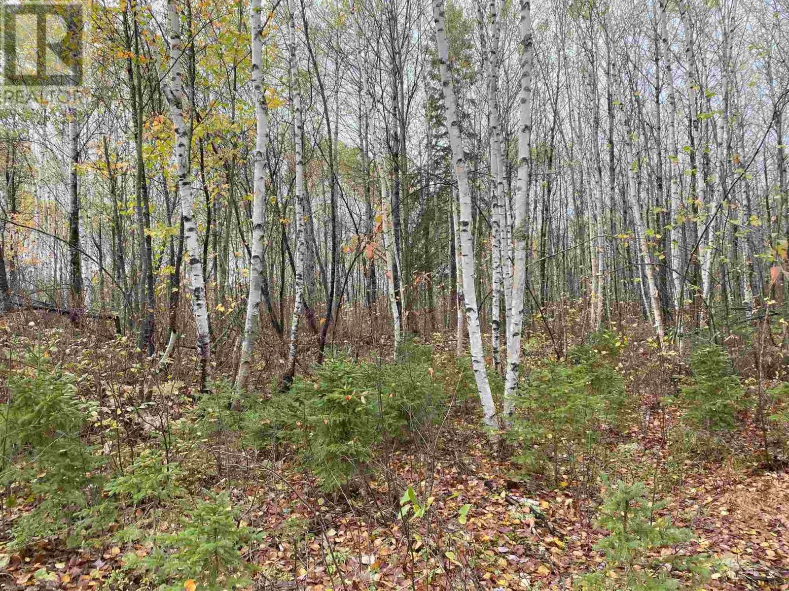 Lot 1 Con 5 Pcl 6283, 6284, 6285, 6286 East Of Road, Marter Twp, Ontario  P0J 1H0 - Photo 7 - TM240027