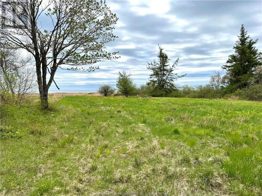 Lot Route 960, Cape Spear, New Brunswick  E4M 0C8 - Photo 14 - M157349