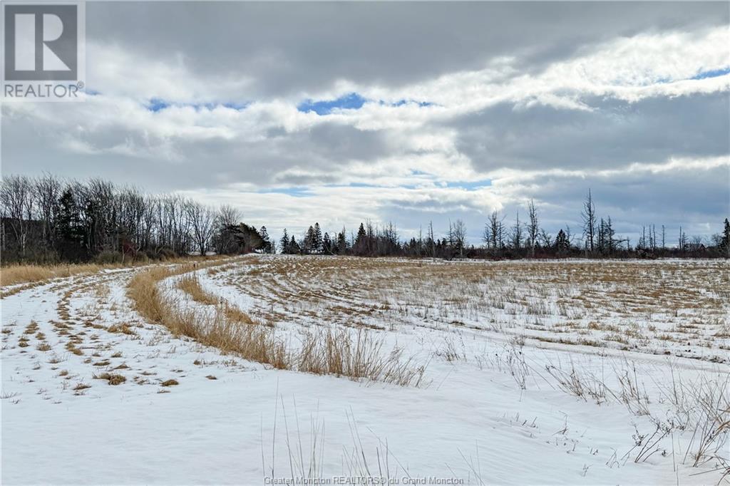 Lot Route 960, Cape Spear, New Brunswick  E4M 0C8 - Photo 22 - M157349