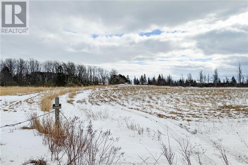 Lot Route 960, Cape Spear, New Brunswick  E4M 0C8 - Photo 23 - M157349