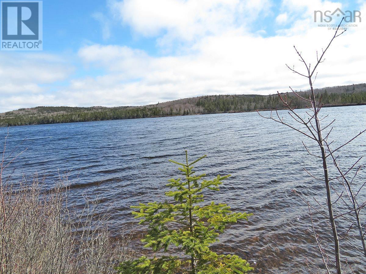 Bengal Road, Albert Bridge, Nova Scotia  B1K 2J5 - Photo 11 - 202300714