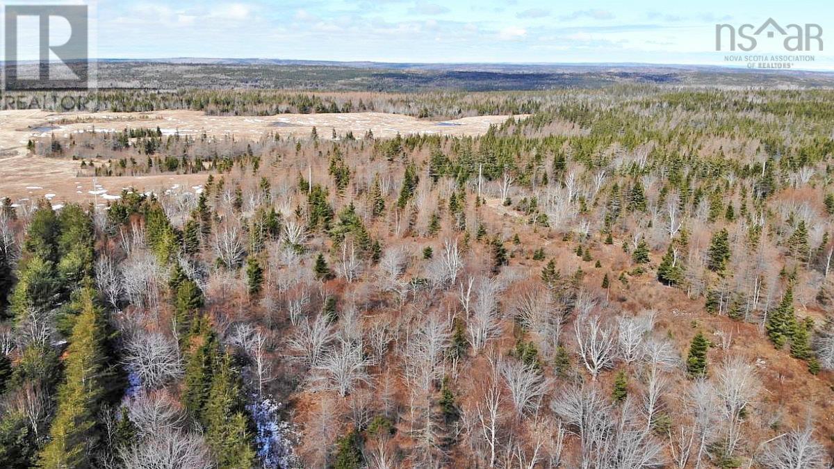 Bengal Road, Albert Bridge, Nova Scotia  B1K 2J5 - Photo 19 - 202300714