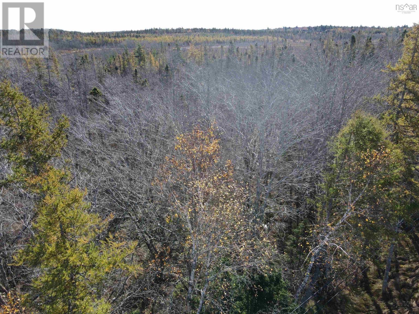Vacant Land Highway 103, Middlewood, Nova Scotia  B4V 6J8 - Photo 10 - 202402618