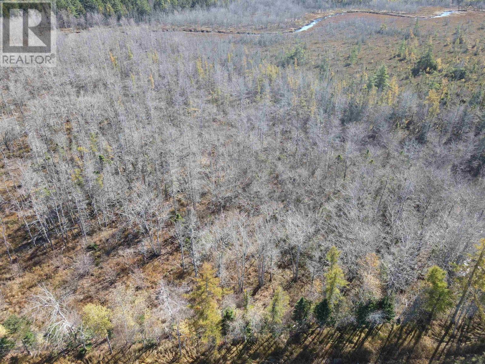 Vacant Land Highway 103, Middlewood, Nova Scotia  B4V 6J8 - Photo 11 - 202402618