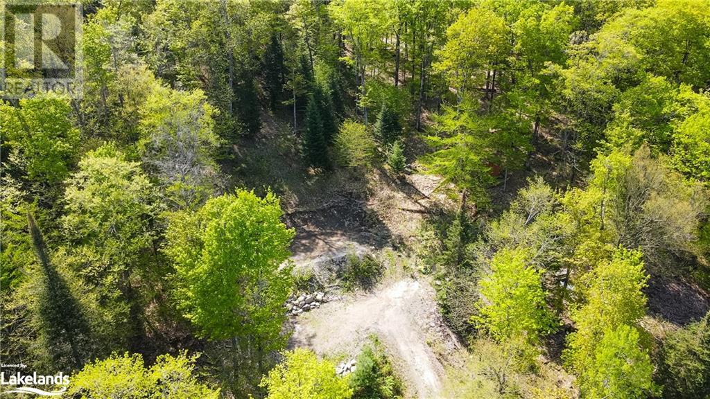 1019 BUSHWOLF LAKE Road, west guilford, Ontario