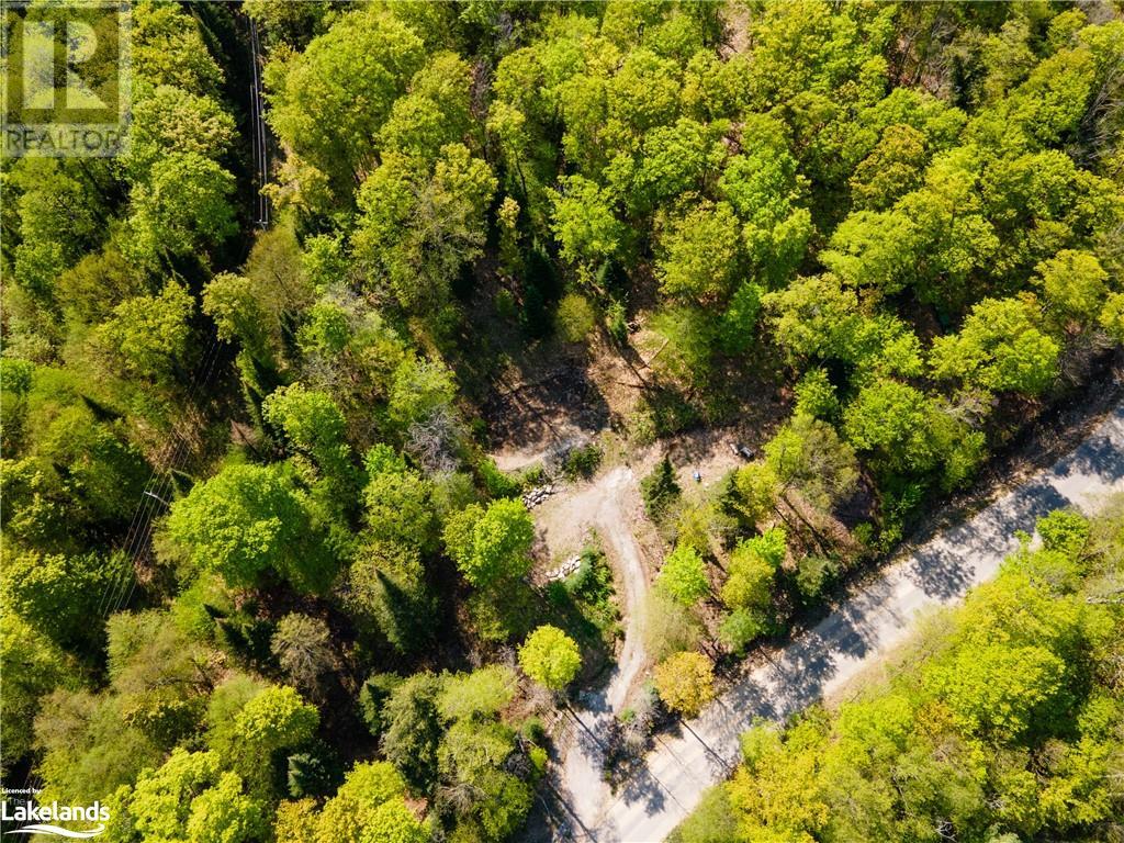 1019 Bushwolf Lake Road, West Guilford, Ontario  K0M 1S0 - Photo 2 - 40539291