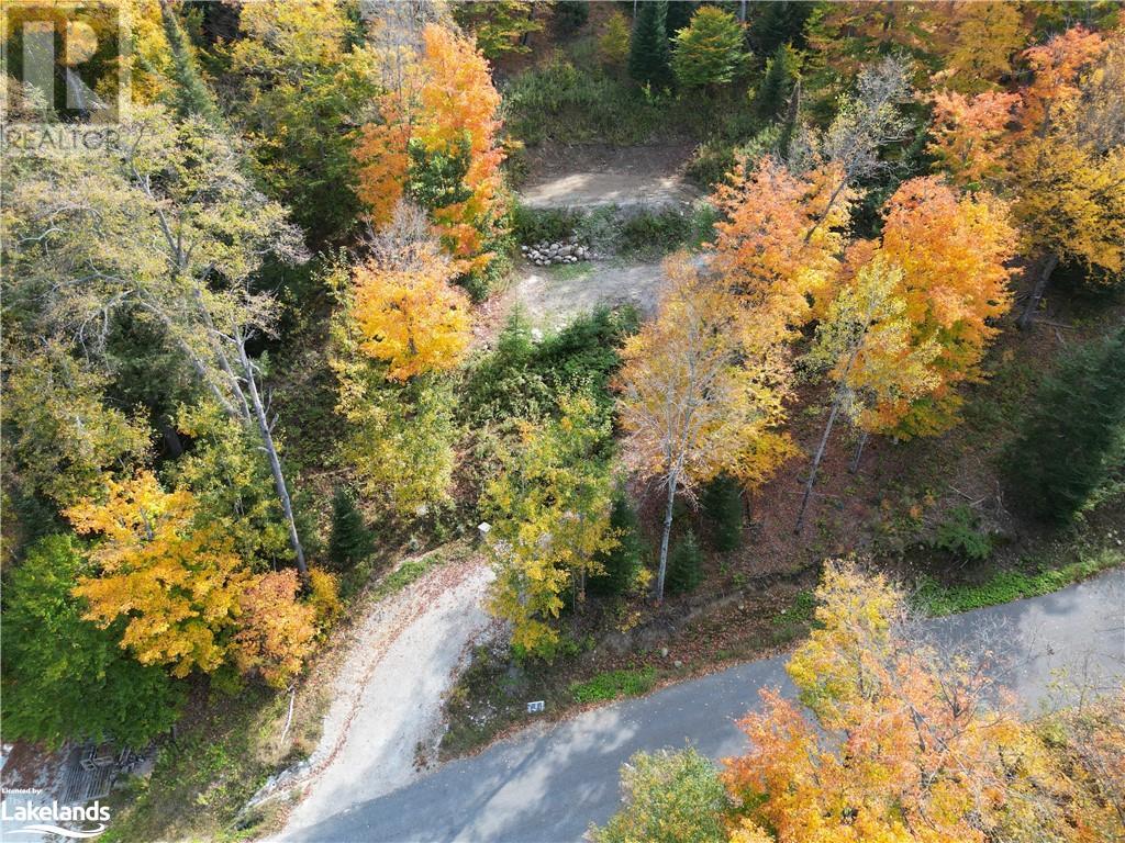 1019 Bushwolf Lake Road, West Guilford, Ontario  K0M 1S0 - Photo 20 - 40539291