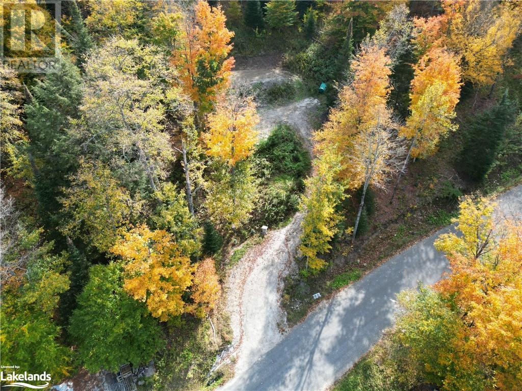 1019 Bushwolf Lake Road, West Guilford, Ontario  K0M 1S0 - Photo 21 - 40539291