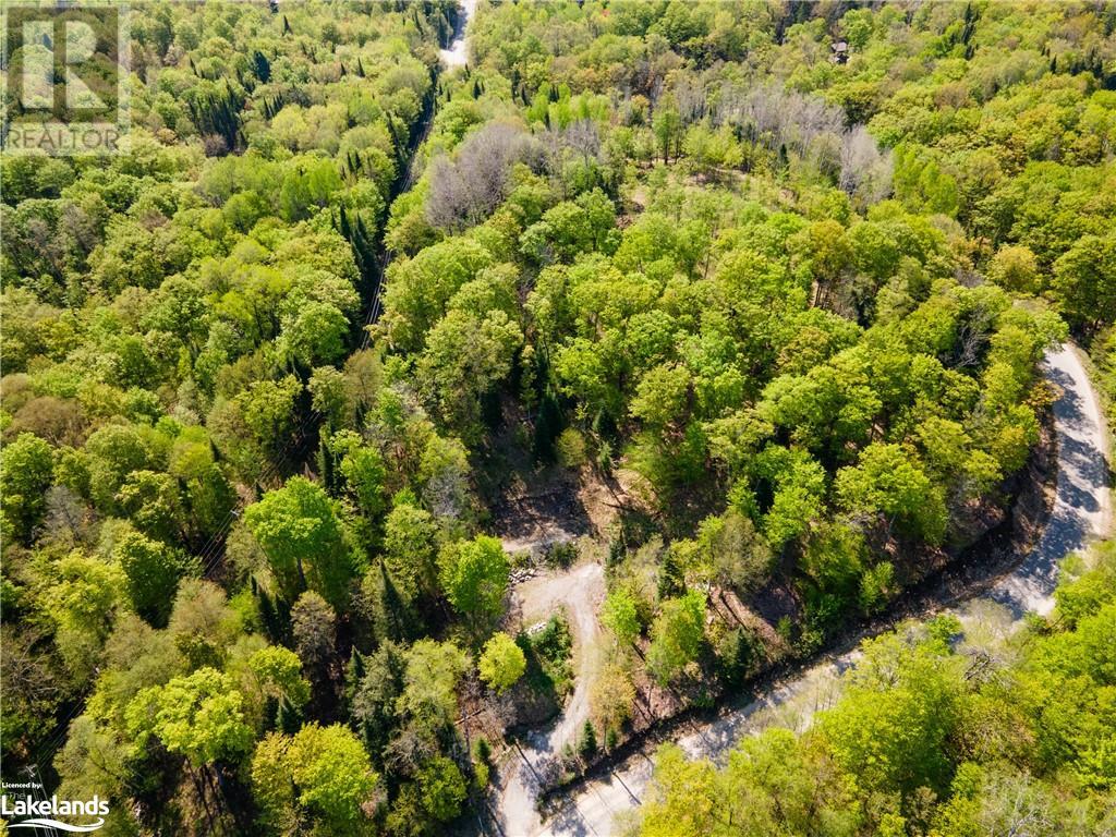 1019 Bushwolf Lake Road, West Guilford, Ontario  K0M 1S0 - Photo 3 - 40539291