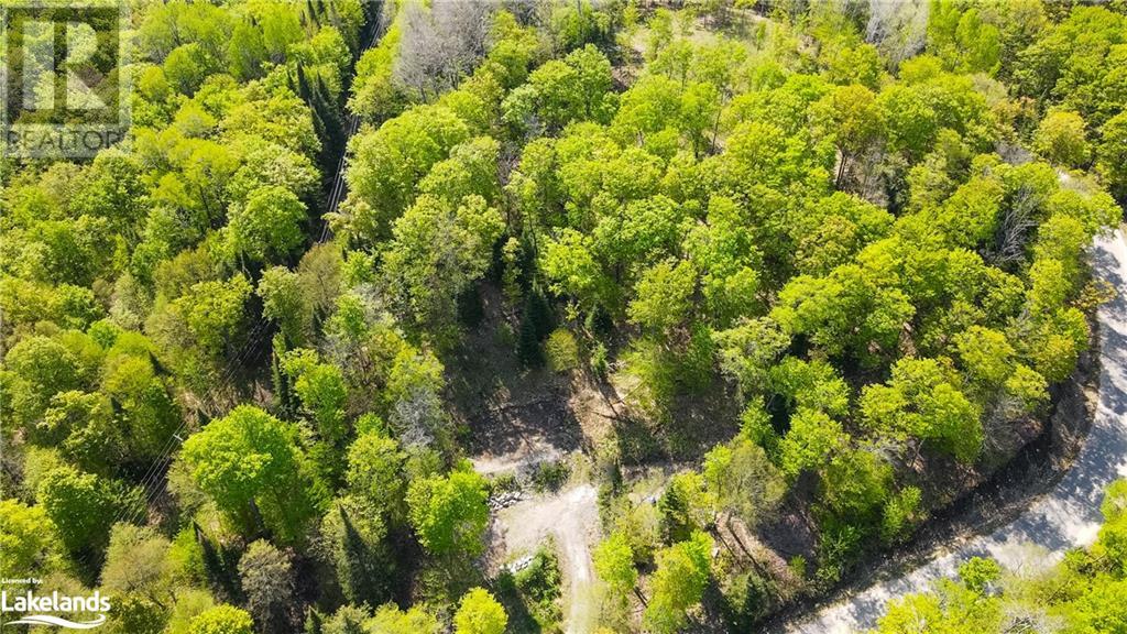 1019 Bushwolf Lake Road, West Guilford, Ontario  K0M 1S0 - Photo 4 - 40539291