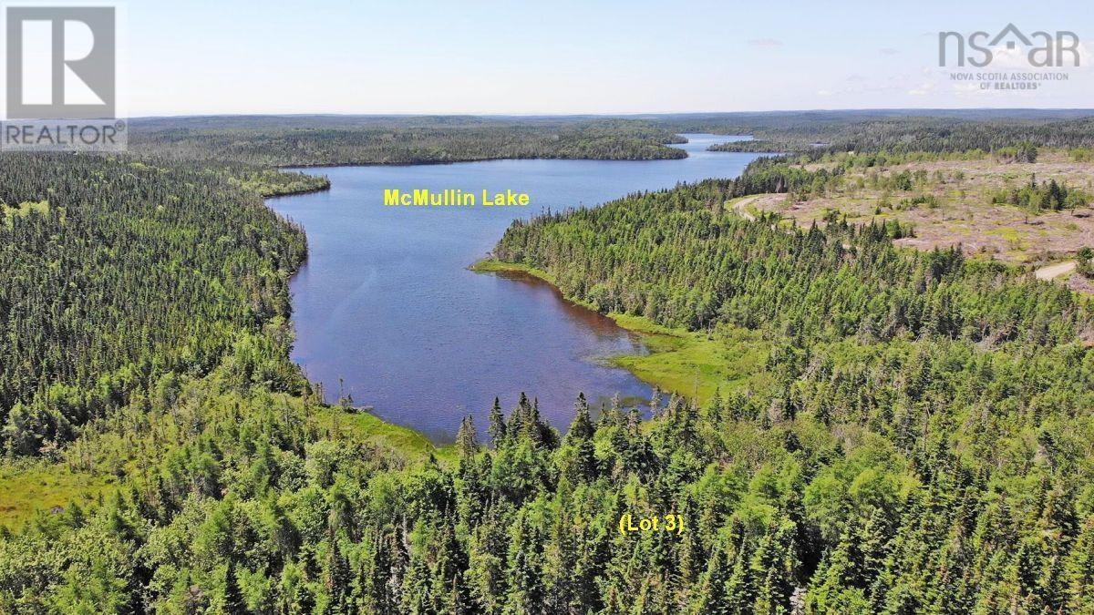 Upper Grand Mira Road, Upper Grand Mira, Nova Scotia  B1K 1M1 - Photo 12 - 202402651