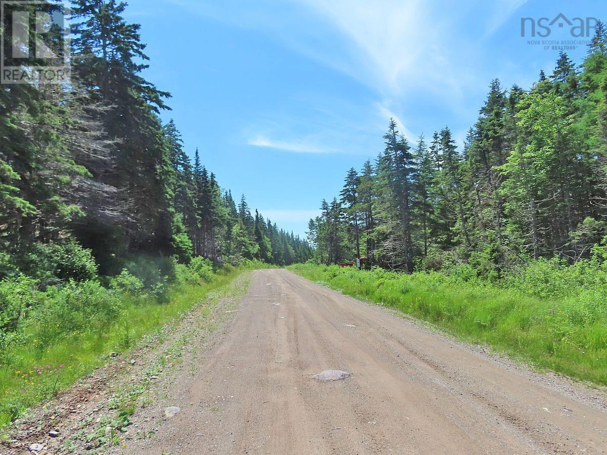 Upper Grand Mira Road, Upper Grand Mira, Nova Scotia  B1K 1M1 - Photo 22 - 202402651