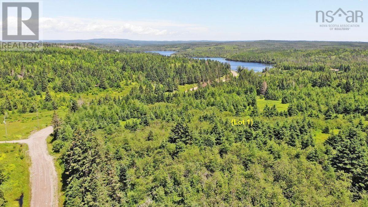 Upper Grand Mira Road, Upper Grand Mira, Nova Scotia  B1K 1M1 - Photo 23 - 202402651