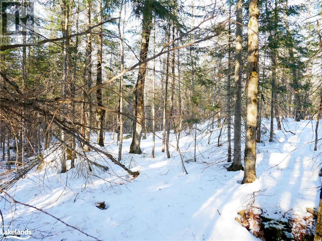 1025 520 Highway, Whitestone, Ontario  P0A 1G0 - Photo 11 - 40540877