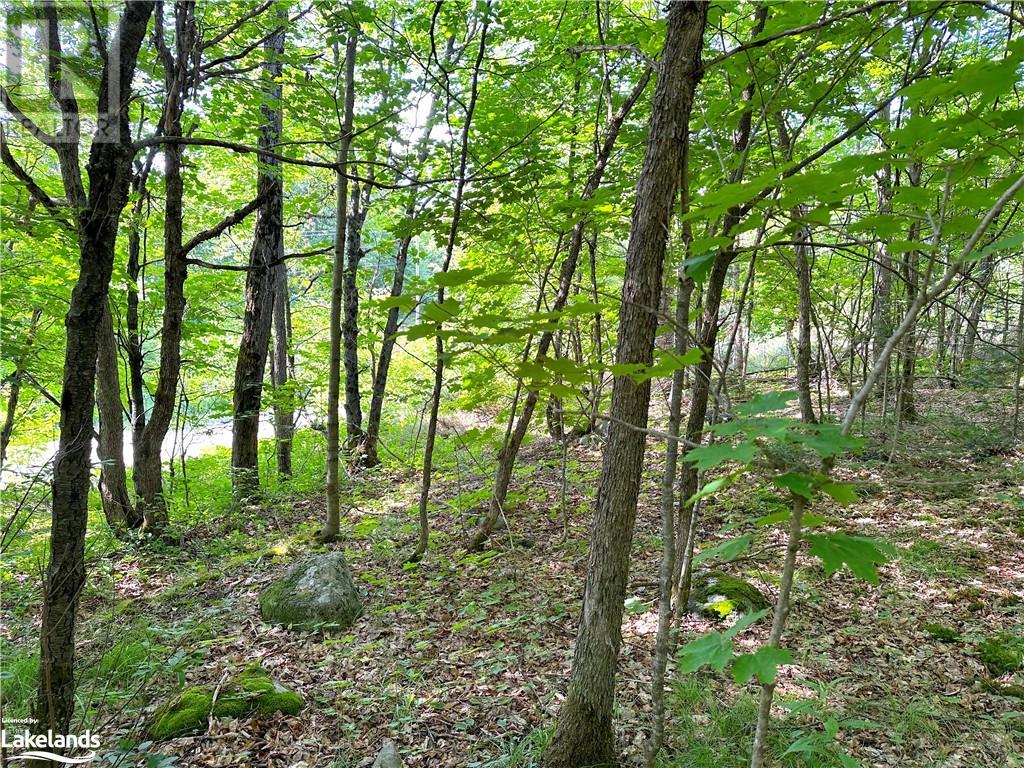 1025 520 Highway, Whitestone, Ontario  P0A 1G0 - Photo 12 - 40540877