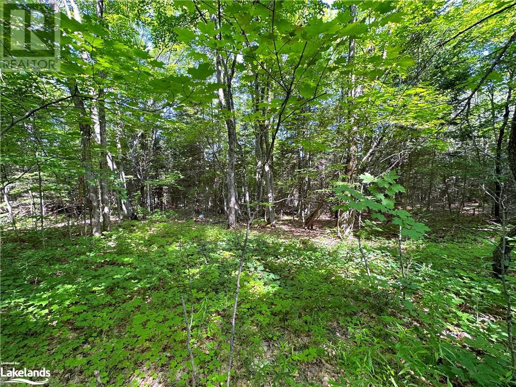 1025 520 Highway, Whitestone, Ontario  P0A 1G0 - Photo 13 - 40540877