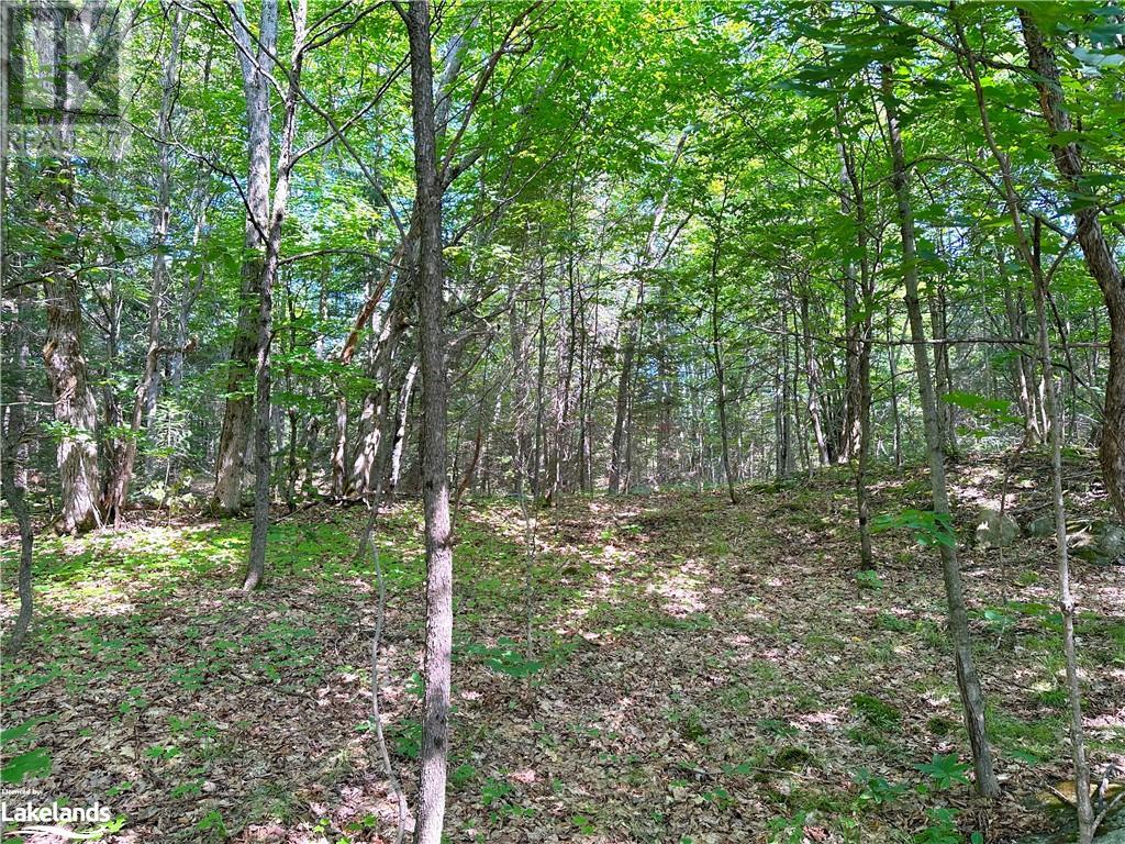 1025 520 Highway, Whitestone, Ontario  P0A 1G0 - Photo 16 - 40540877