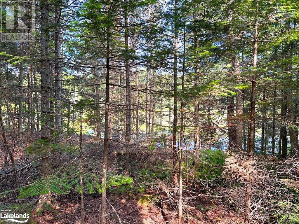 1025 520 Highway, Whitestone, Ontario  P0A 1G0 - Photo 17 - 40540877