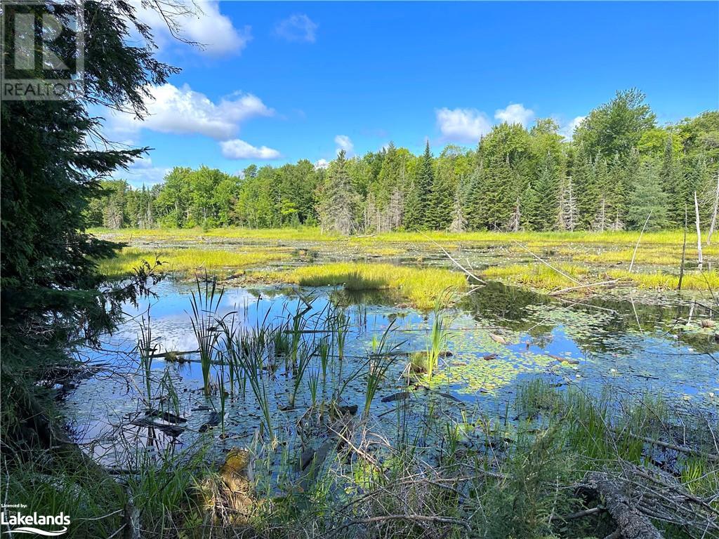 1025 520 Highway, Whitestone, Ontario  P0A 1G0 - Photo 23 - 40540877