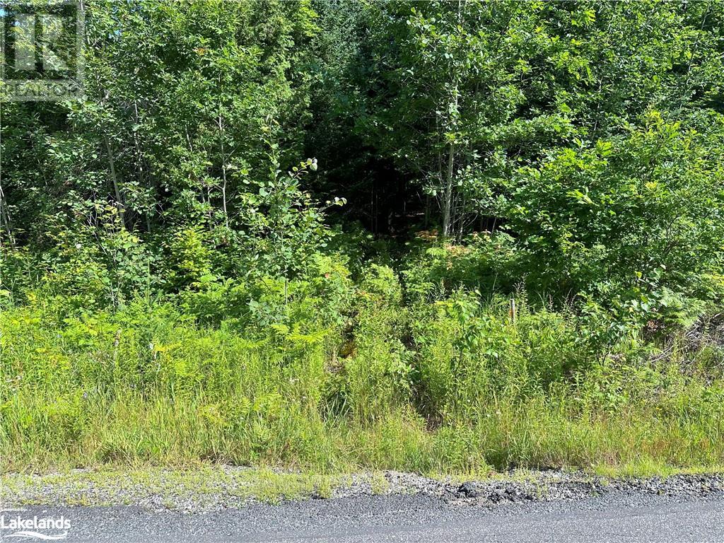 1025 520 Highway, Whitestone, Ontario  P0A 1G0 - Photo 4 - 40540877