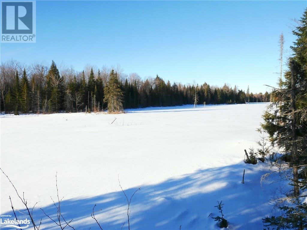 1025 520 Highway, Whitestone, Ontario  P0A 1G0 - Photo 7 - 40540877