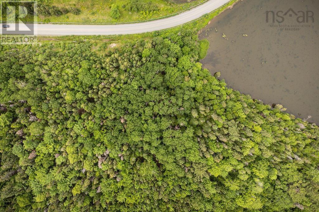 Lot 1a 342 Mabou Harbour Road, Mabou, Nova Scotia  B0E 1X0 - Photo 19 - 202402663