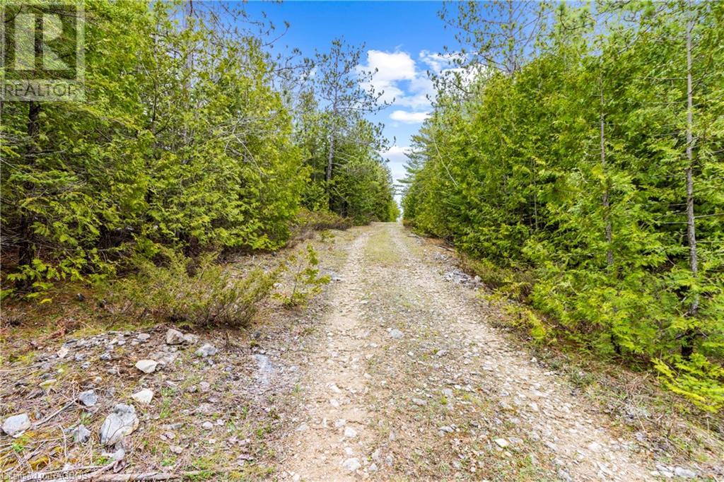 Lot 41 & 42 4 Concession, Northern Bruce Peninsula, Ontario  N0H 1Z0 - Photo 10 - 40537828